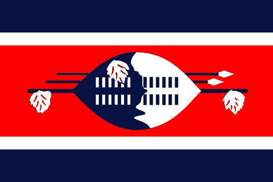 Swaziland — Lucid Dreams of American Leaders